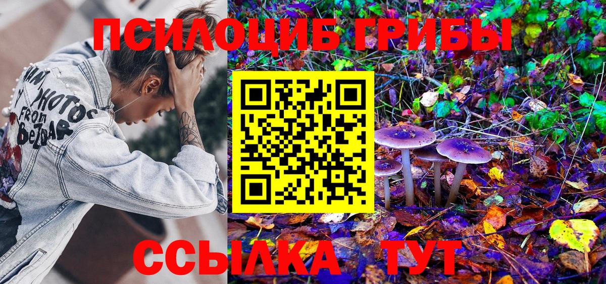 Новоуральск  Псилоцибиновые грибы ЛСД  Вход с VPN  Псилоцибиновые грибы Magic Shrooms 